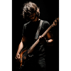 Midnight Bassist in Shadow