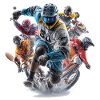 Motocross Hurricane: Various Spoerarten Parade