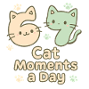 67 Cat Moments A Day Six Seven