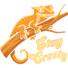 Crested Gecko Reptile Humor Lizard