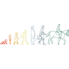 Évolution équestre