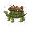 Turtle Sloth