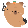 Trajet fatigué de Capybara