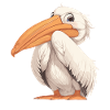 Pelicans Pelican
