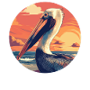 Pelicans Pelican