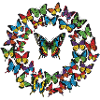 Rainbow Butterfly Circle