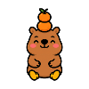 Capybara with tangerine on the head