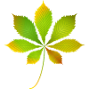 Glowing Chestnut Leaf – Autumnal Nature Motif