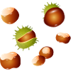 Autumnal chestnuts – nature motif with charm