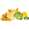Buntes Zierkürbis-Potpourri – Herbstliche Vielfalt