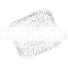 RICHARD Ray Logo Print