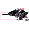 Border Collie III