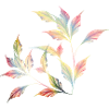 Delicately Shimmering Leaf Arrangement – Nature Art