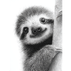Cute Pencil Style Sloth Black White