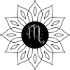 Scorpio Stellé Zodiac