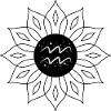 Aquarius, Celestial Waves and Stars