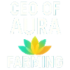 PDG d’aura farming Dicton drôle