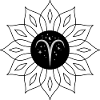Widder Sternennacht