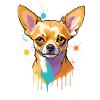 Chihuahua Farbsplash Portrait