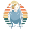 Budgerigar