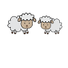 Sheep Dad