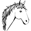 Pferd Pferdekopf T-shirt Geschenk Reiter