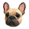 Polygone Bouledogue Français – Art Géométrique