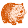 Capybara - Mignons capybaras