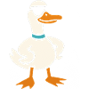 Cool duck with sunglasses