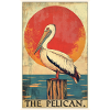 Pélicans Pélican