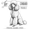 Standard Poodle Elegance and Pride