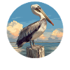 Pelicans Pelican