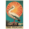 Pelicans Pelican