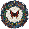 Butterfly Circle Mandala