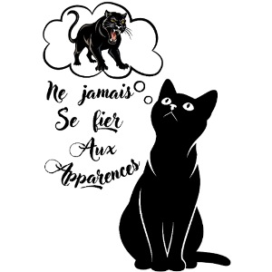 Ne pas se fier aux apparences