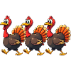 Bébé dinde de Thanksgiving