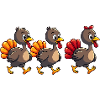 Bébé dinde de Thanksgiving