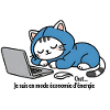 Cat in blue hoodie on laptop