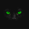 Green Eyes in Darkness