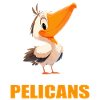 Pelicans Pelican