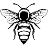 Bee Honey Bee Gift Beekeeper