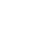 Raccoon T-shirt Gift