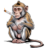 Smoking Monkey Cigarette - T-shirt drôle