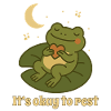 Schlafender Frosch – It's okay to rest