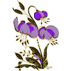 Fleur