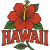 Hawaii Hibiscus Emblem