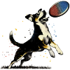 Frisbee Fun
