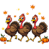 Bébé dinde de Thanksgiving