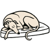 Galgo sleeping