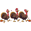 Bébé dinde de Thanksgiving
